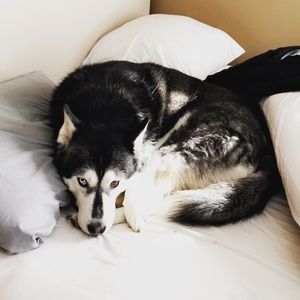 Meet your Posher, Jacob